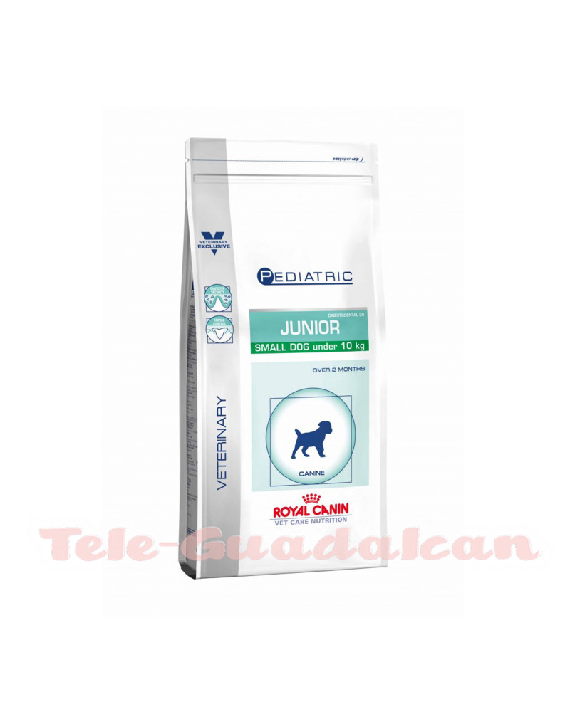 Royal Canin Pediatric Junior Small Dog 4Kg