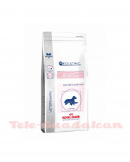 Royal Canin Pediatric starter 12Kg