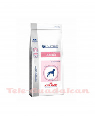 Royal Canin Pediatric Junior 4Kg