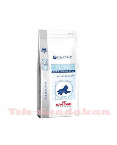 Royal Canin Pediatric Starter Large Dog 14Kg
