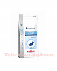 Royal Canin Pediatric Junior Large Dog 14Kg