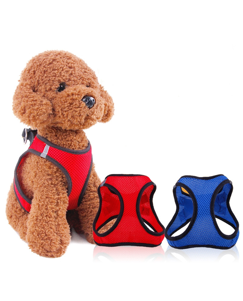 Arnés Transpirable especial Verano