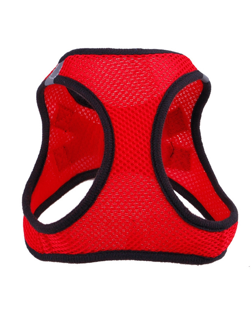 Arnés Transpirable especial Verano