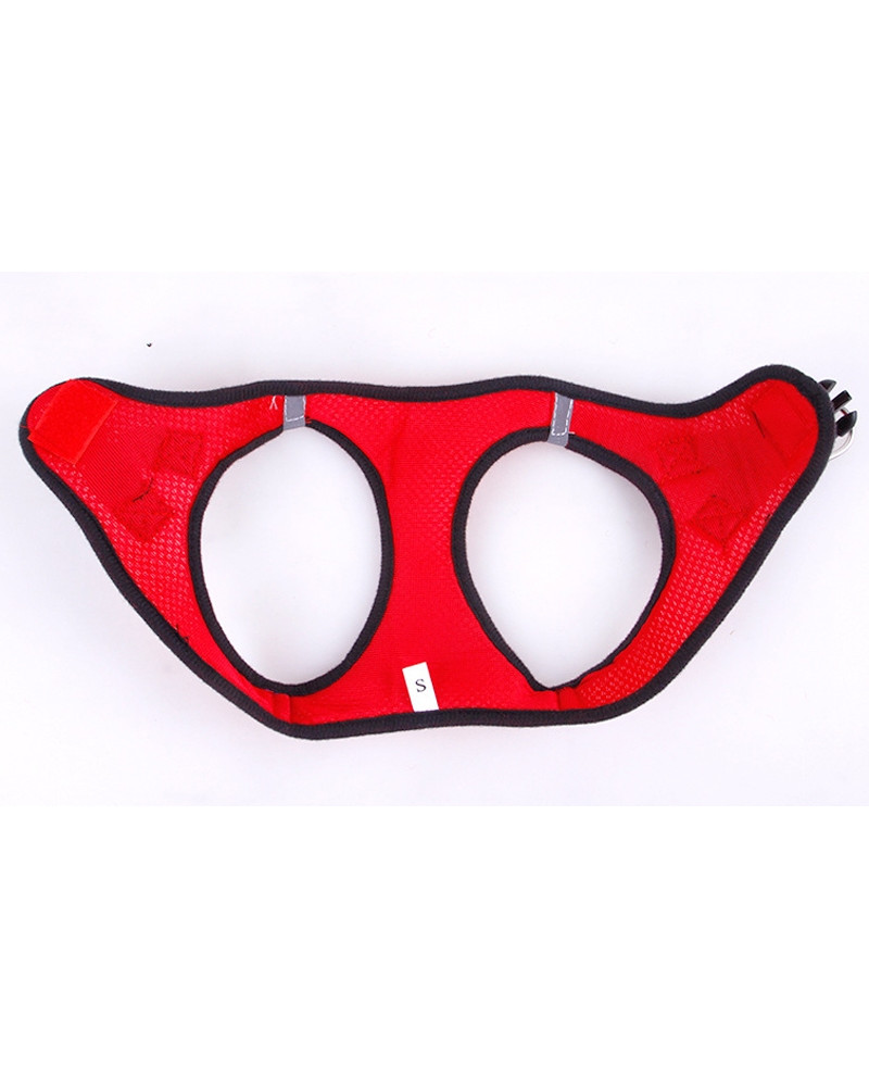 Arnés Transpirable especial Verano