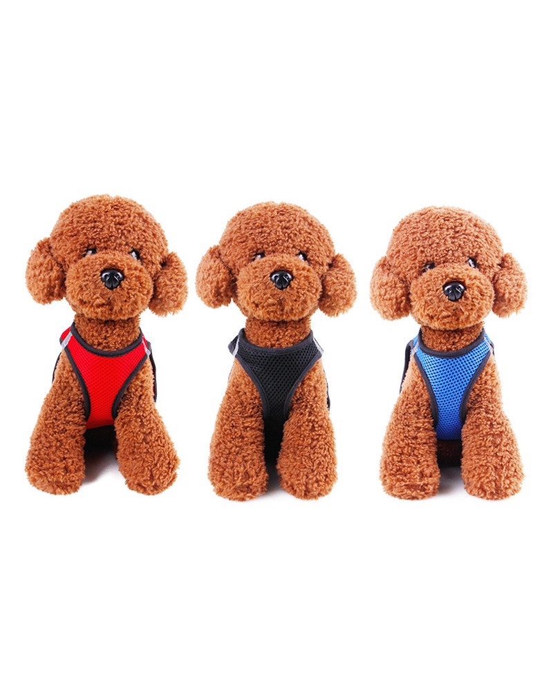 Arnés Transpirable especial Verano