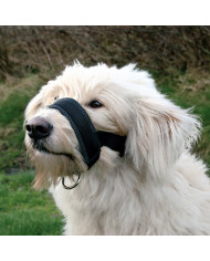 Bozal de Nylon con lazo acolchado