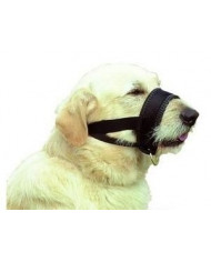 Bozal de Nylon con lazo acolchado