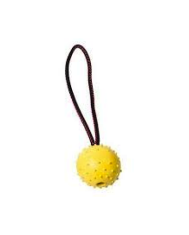 Pelota de goma con cuerda (7cm x 30cm)