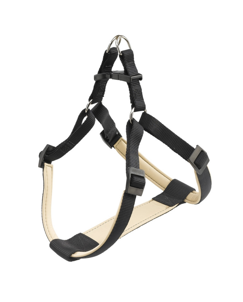 Arnes Daytona Arnes Daytona