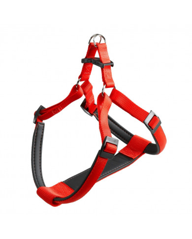 Arnes Daytona Rojo