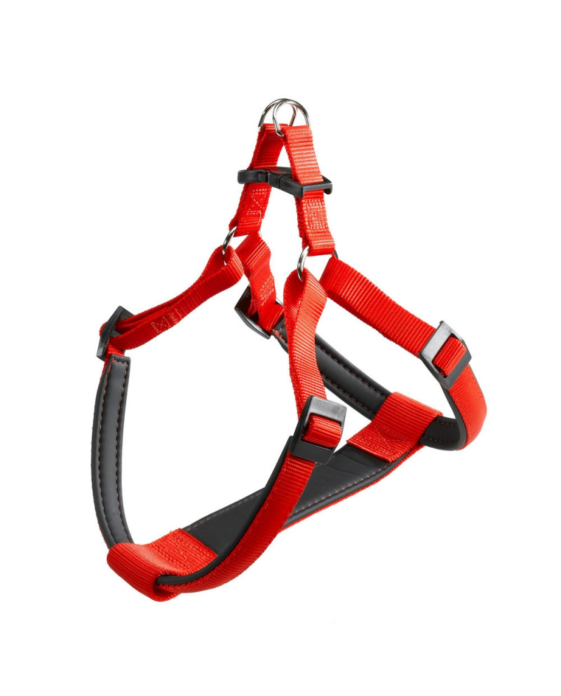 Arnes Daytona Rojo