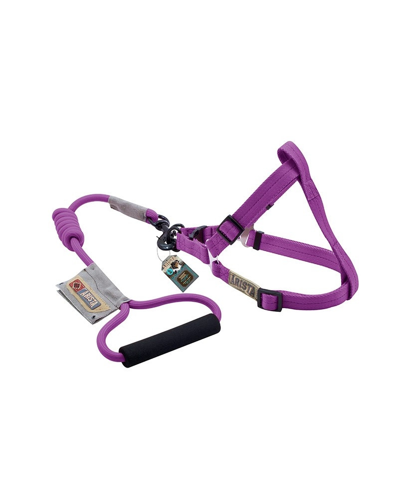 Arnes y Correa redonda ZEUS Morado