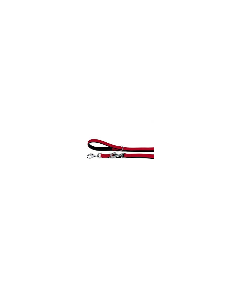 Correa Adiestramiento Acolchada Daytona 15/200