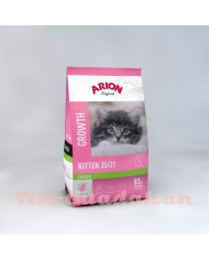 Arion Original Kitten