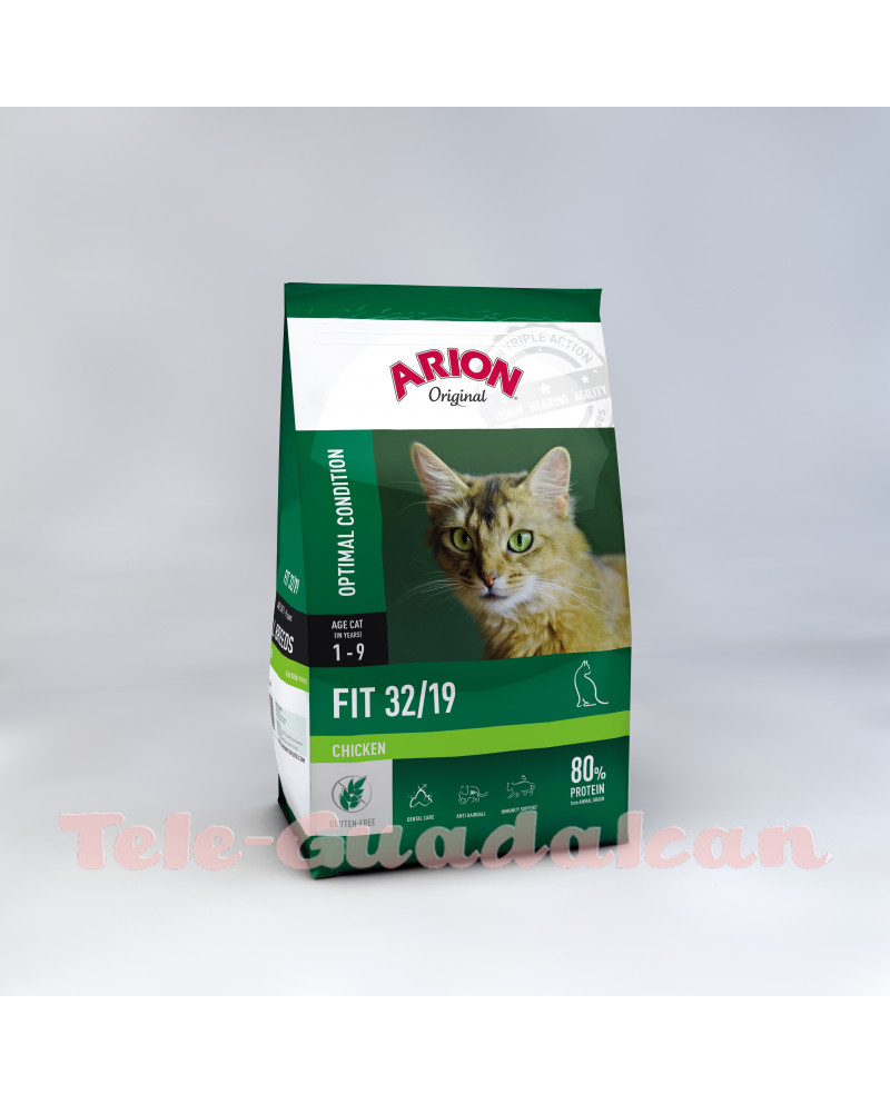 Arion Original Cat Fit