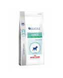Royal Canin Pediatric Junior Small Dog 2Kg