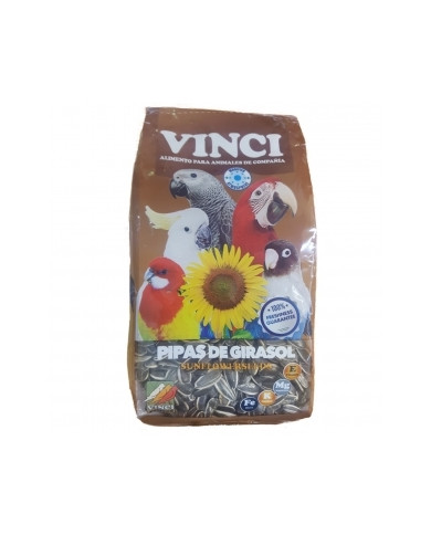 Pipas USA Vinci 500gr Pipas USA Vinci 500gr