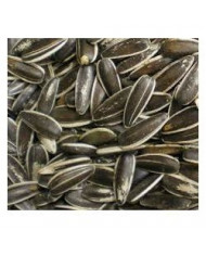 Pipas USA Vinci 500gr