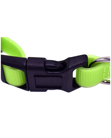 Collar Fluorescente Goma