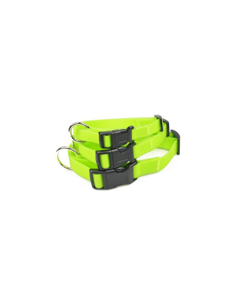 Collar Fluorescente en nylon revestido