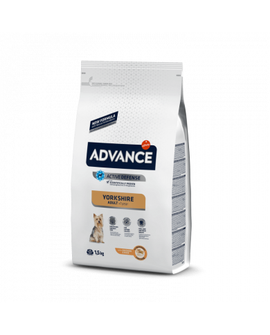 Affinity Advance Yorkshire Terrier Affinity Advance Yorkshire Terrier