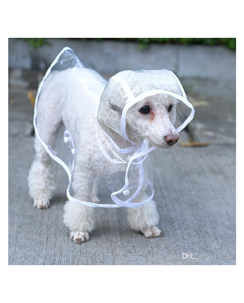 Chubasquero transparente