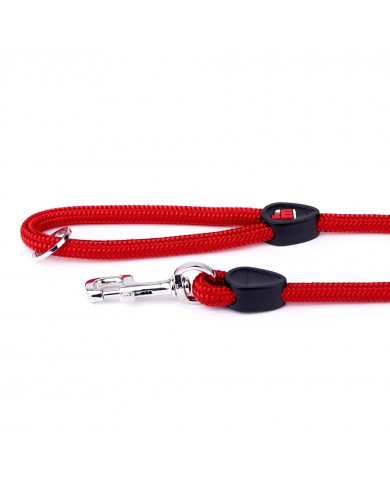 Correa Inteligente Memopet