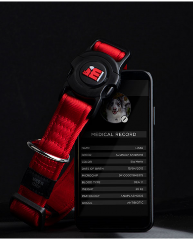Collar inteligente memopet rojo