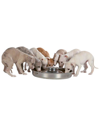 Comedero junior acero inoxidable para cachorros Comedero junior acero inoxidable para cachorros