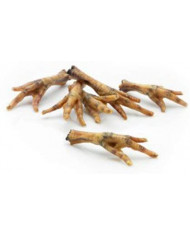 Patas de pollo perro