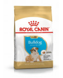 Royal Canin Bulldog  Junior 12Kg Royal Canin Bulldog  Junior 12Kg