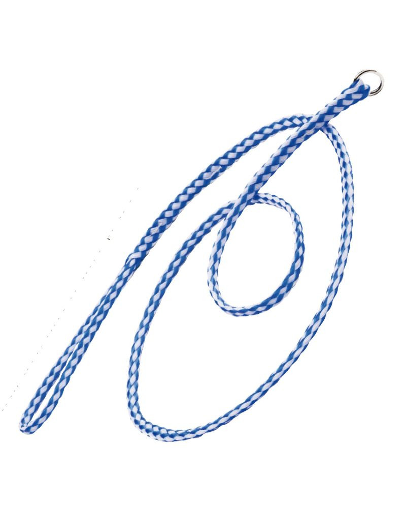 Correa + Collar Anti tirones