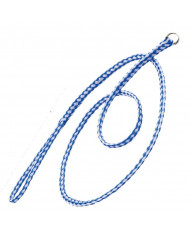 Correa + Collar Anti tirones