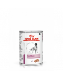 Royal Canin Latas Cardiac 12x410Gr