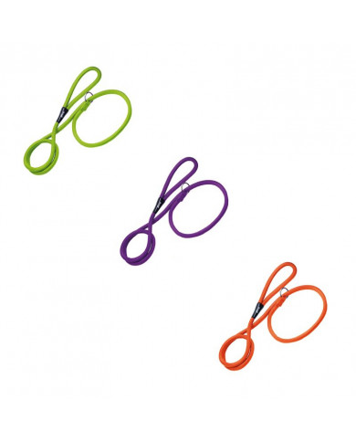 Correa/Collar De Adiestramiento Correa/Collar De Adiestramiento