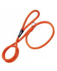 Correa/Collar De Adiestramiento