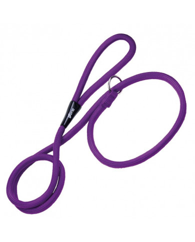 Correa/Collar De Adiestramiento Correa/Collar De Adiestramiento