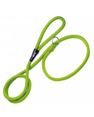 Correa/Collar De Adiestramiento