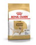 Royal Canin Labrador Adulto 12Kg
