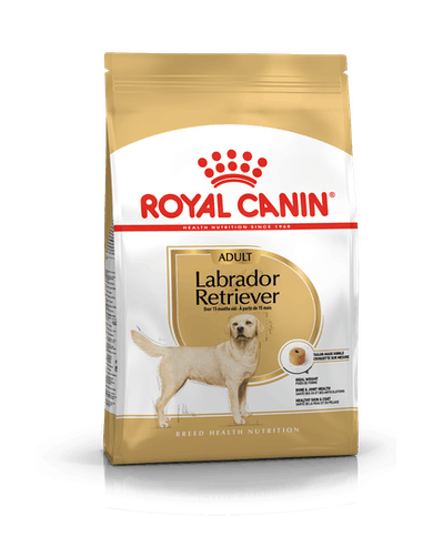 Royal Canin Labrador Adulto 12Kg Royal Canin Labrador Adulto 12Kg