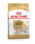 Royal Canin Labrador Retriever +5 12KG