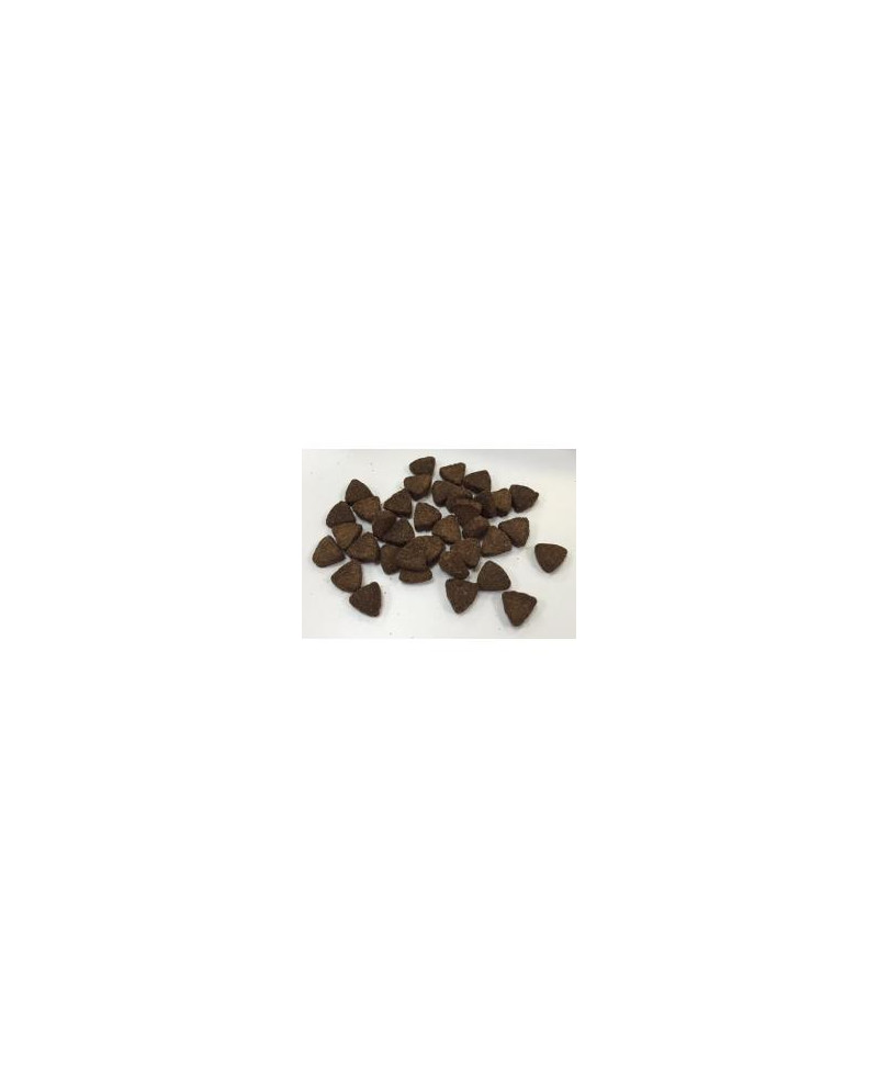 Saco de 18kg Arion Velox pienso económico para perros