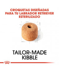 Royal Canin Labrador Retriever Esterilizado Croqueta