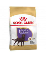 Royal Canin Labrador Retriever Esterilizado