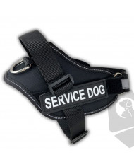 Arnes perro regulable Julius oferta