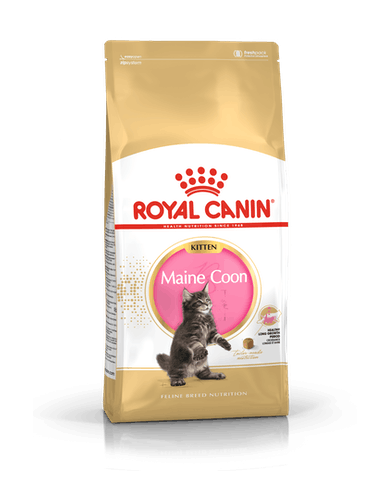 Royal Canin Kitten Maine Coon Royal Canin Kitten Maine Coon
