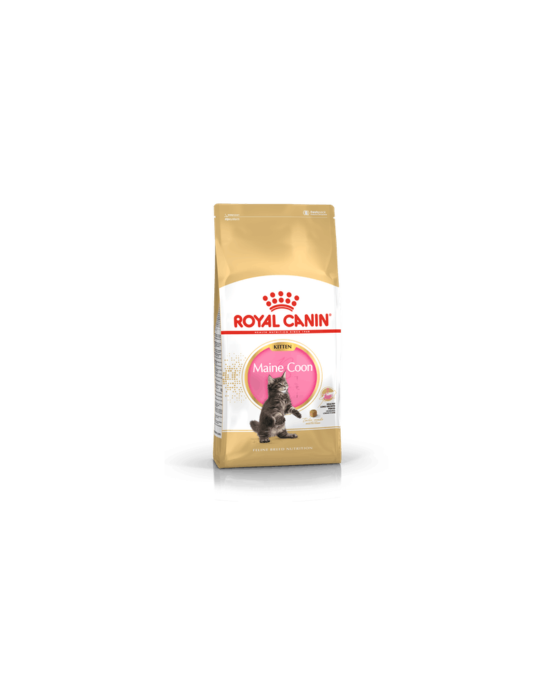 Royal Canin Kitten Maine Coon