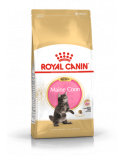 Royal Canin Kitten Maine Coon