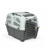 Transportines iata para gatos