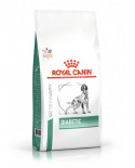 Royal Canin Diabetic Royal Canin Diabetic